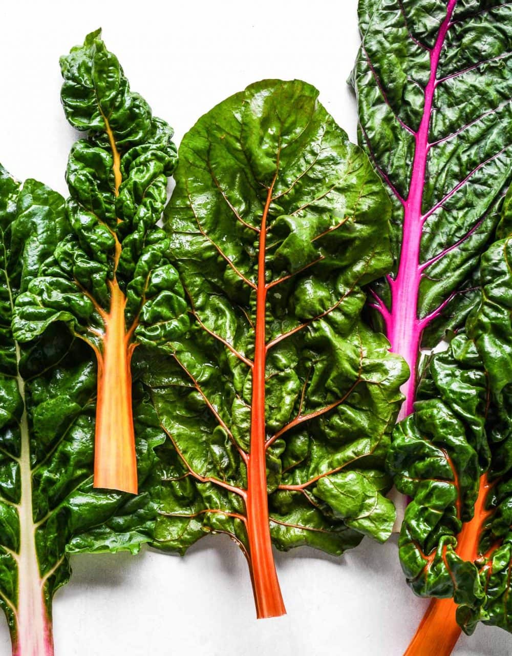 rainbow swiss chard, close up photo