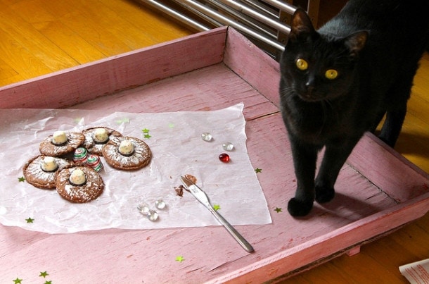 Cat and Christmas Cookies