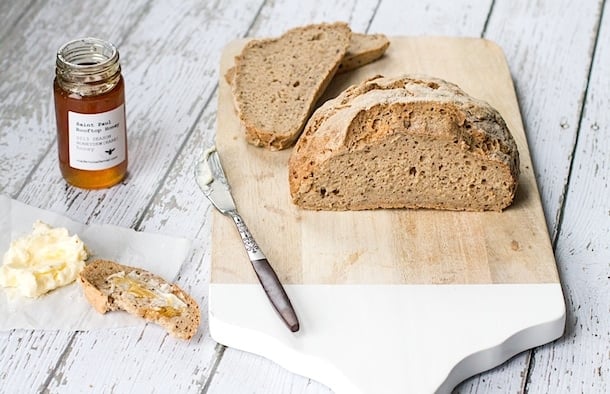 Gluten-Free-Bread in 5 Minutes | whole grains with poppy and hemp seeds