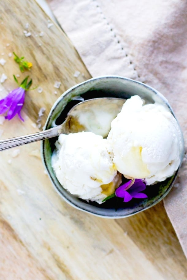 Salty Honey Dairy-Free Ice Cream Recipe (made with coconut milk)