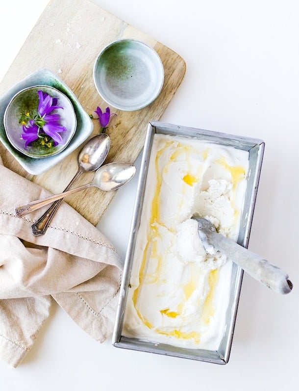 Salty Honey Dairy-Free Ice Cream Recipe (made with coconut milk)