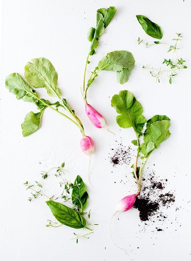 Ghee Braised Radishes & Thyme {via heartbeet kitchen}