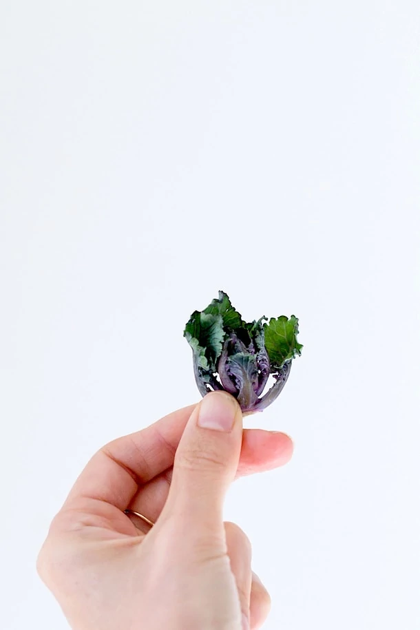 Kalettes! How to Cook With Them