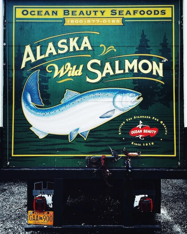 truck art, alaska wild salmon