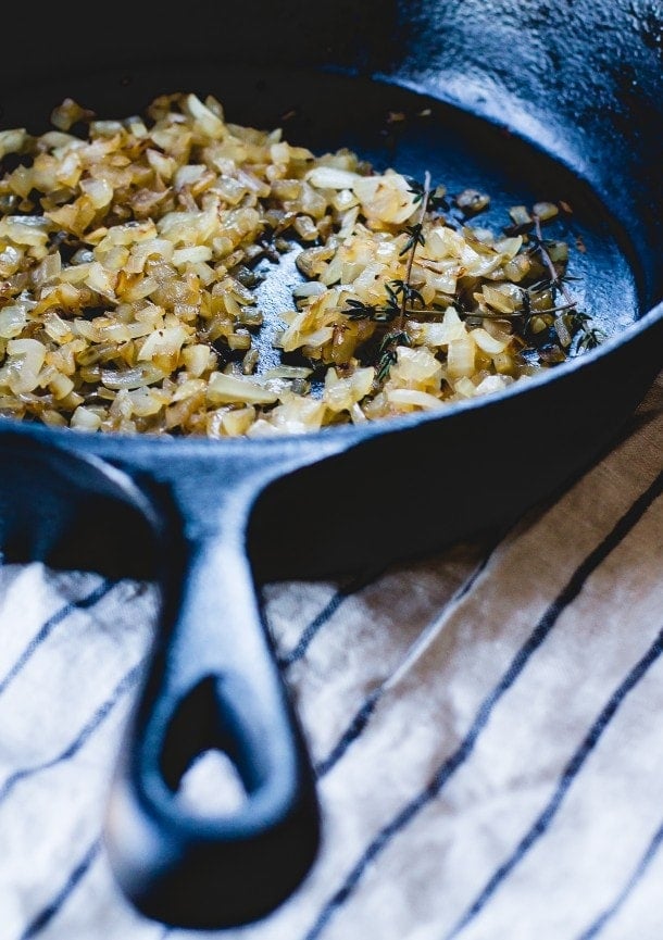 Hot Gruyere and Sweet Onion Chicken Dip.