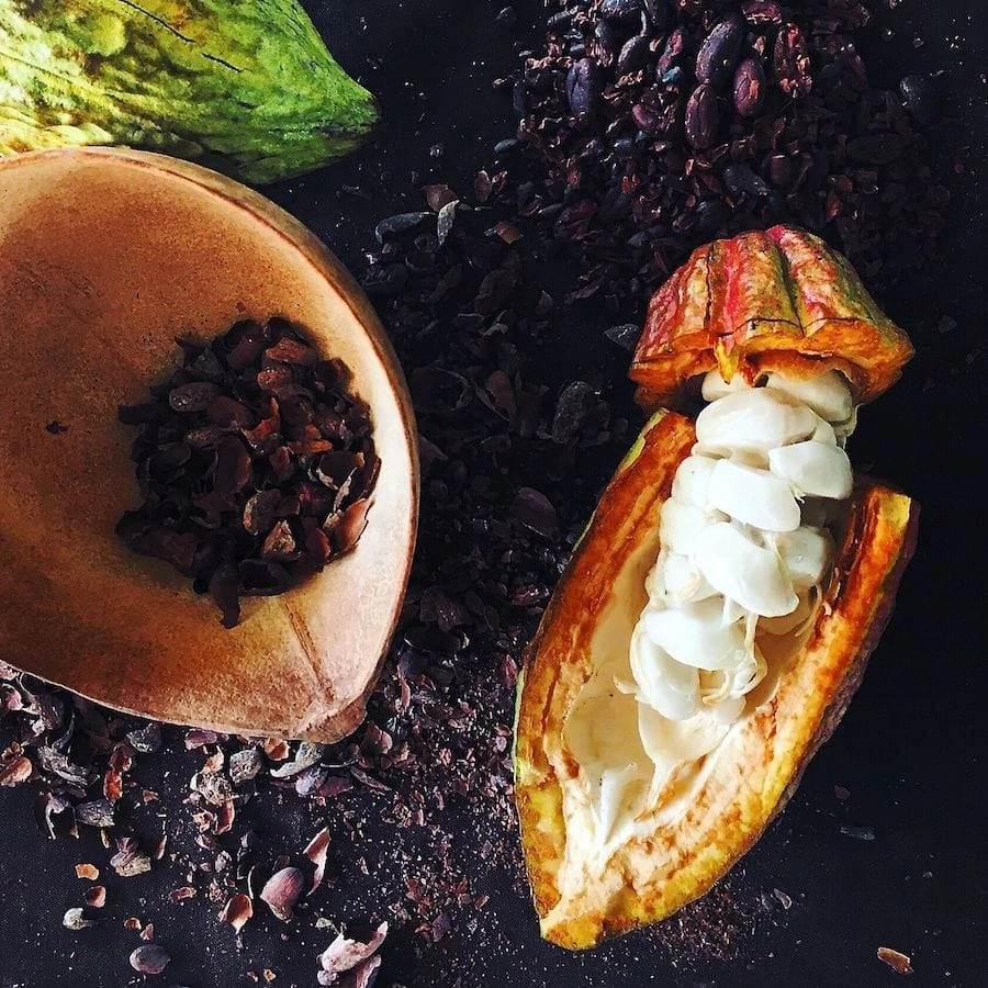 cacao pod & raw cacao beans
