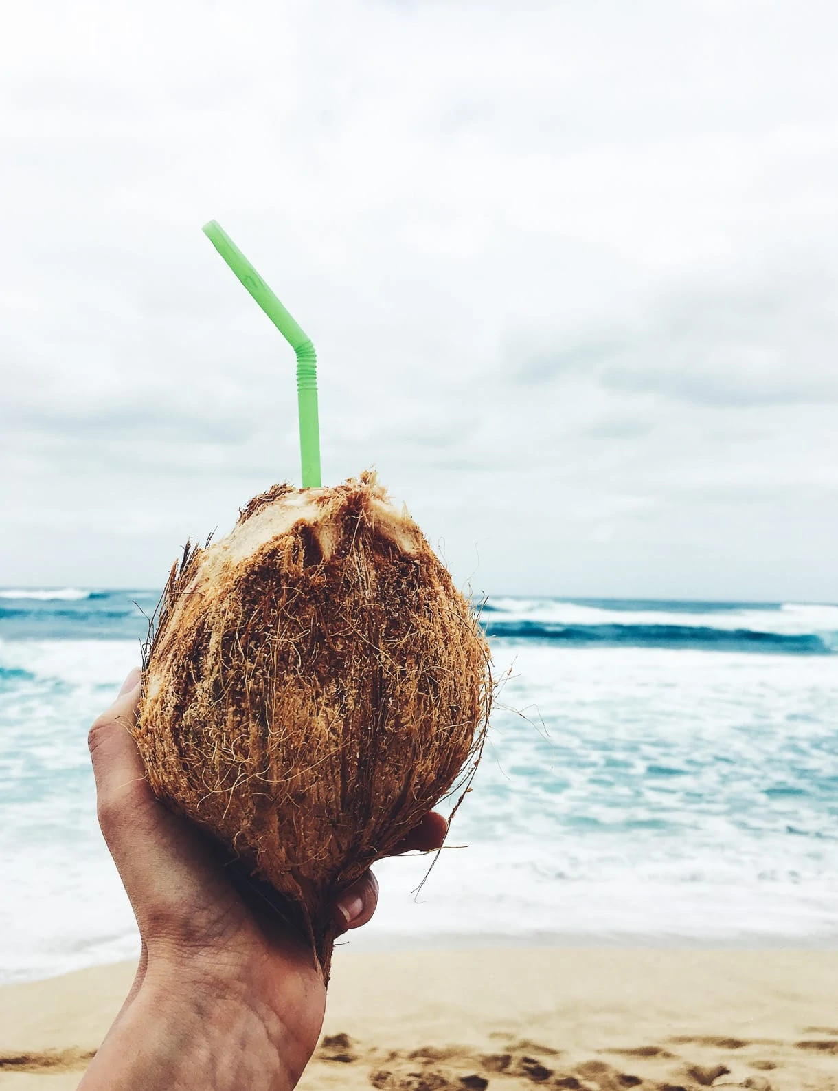 Fresh Coconut On The Beach -- North Shore, Oahu