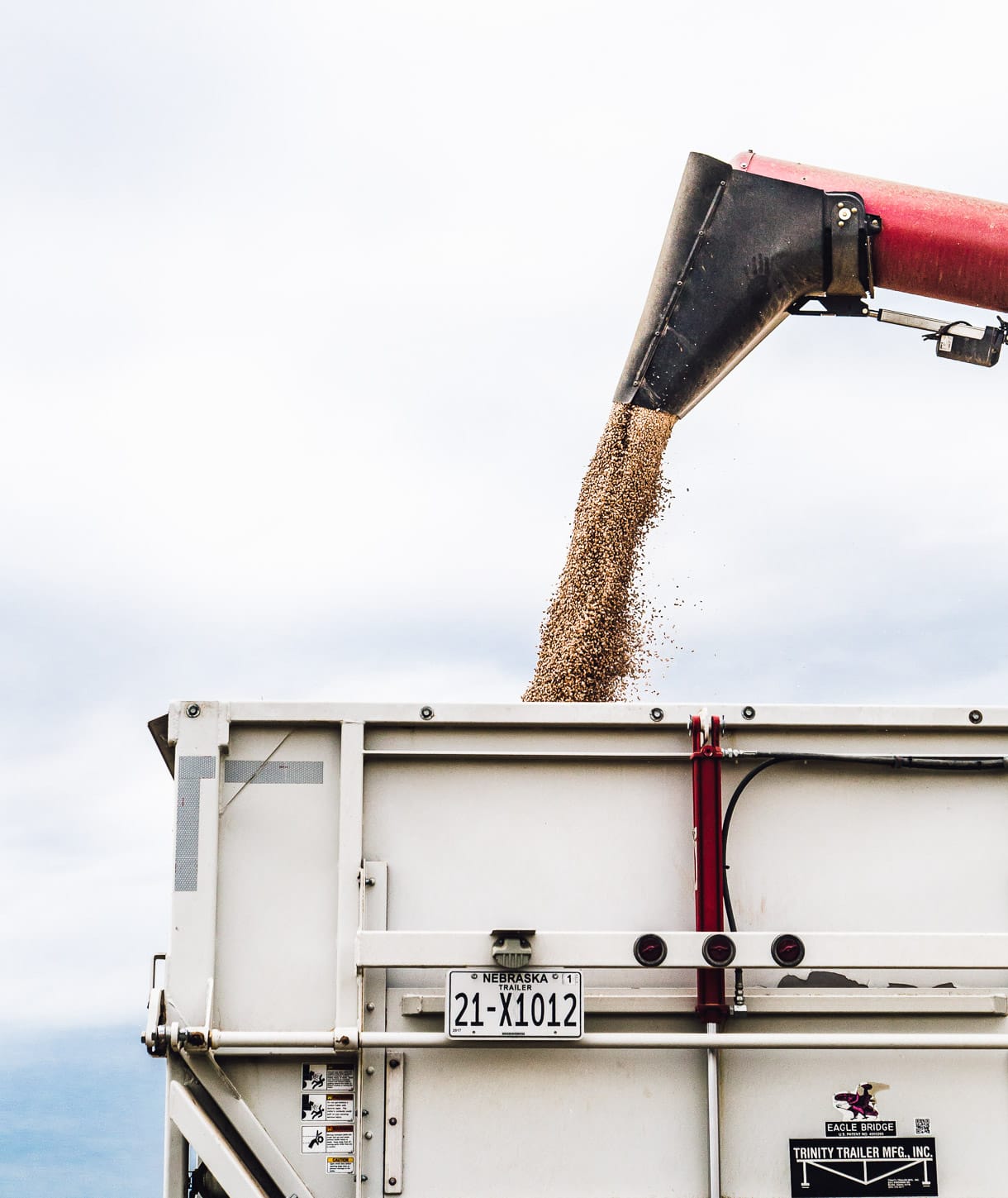 bean harvest, machine dumping beans into semi truck