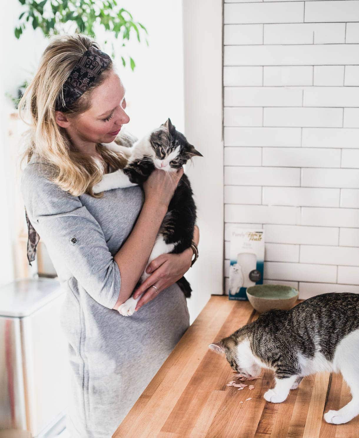 Introducing Resident Cats To New Cats: The Universal Language of Eating Together