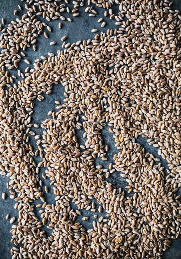 Hard Red Winter Wheat Grain