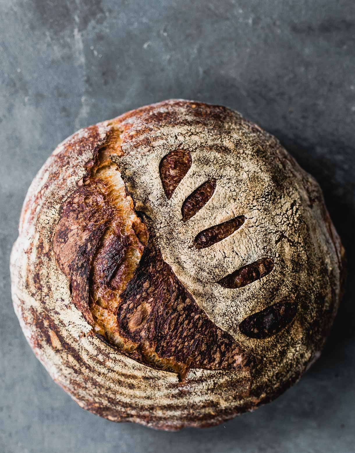 Homemade Whole Wheat Sourdough Bread