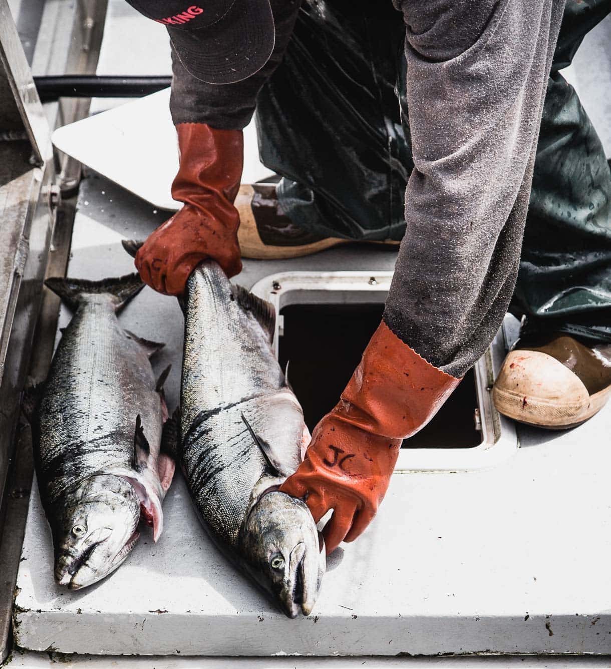 Wildly Different: Sitka Salmon, Small Boat Fisherman Sharing Their Catch  With The Midwest