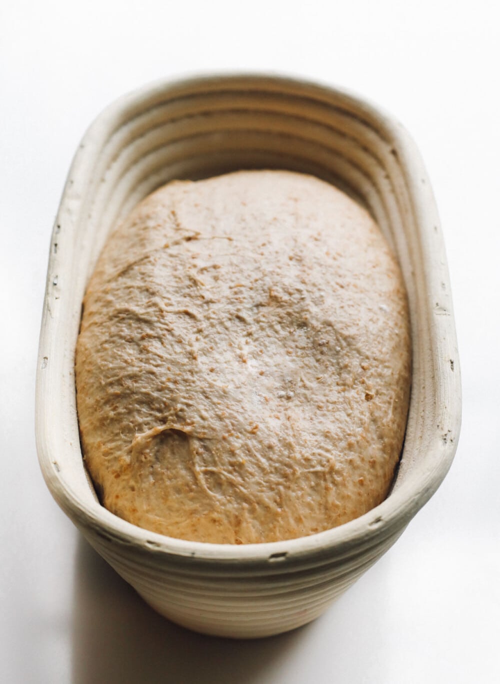 Whole Grain Sourdough Bread with Red Fife Flour Heartbeet Kitchen