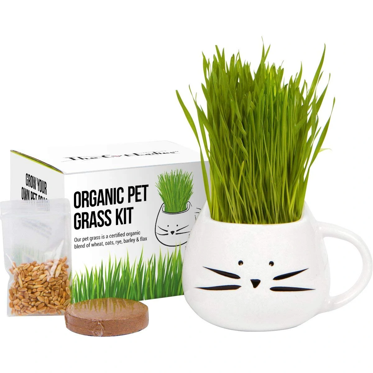 Organic Pet Grass Kit, Cat Grass