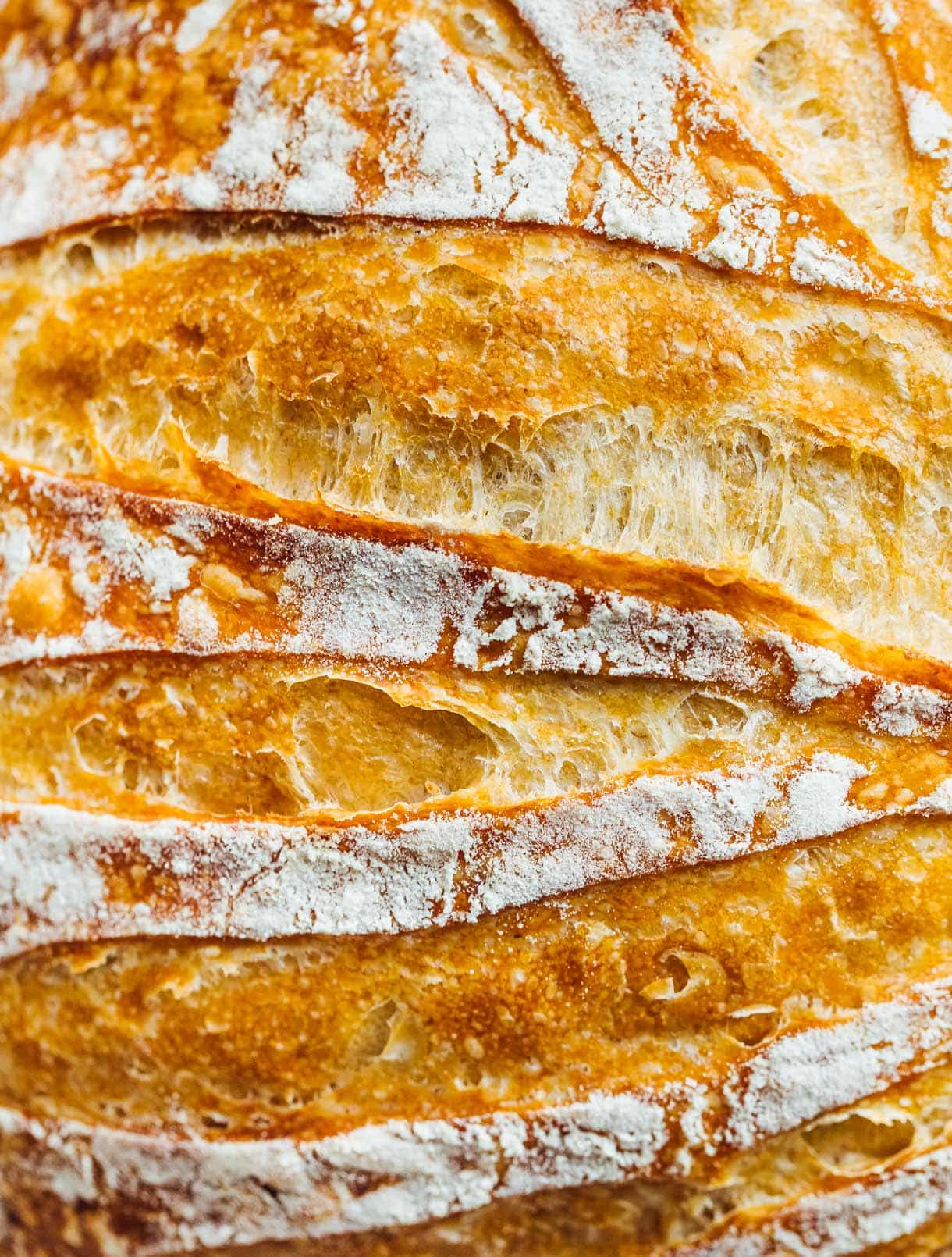 close up of sourdough bread loaf