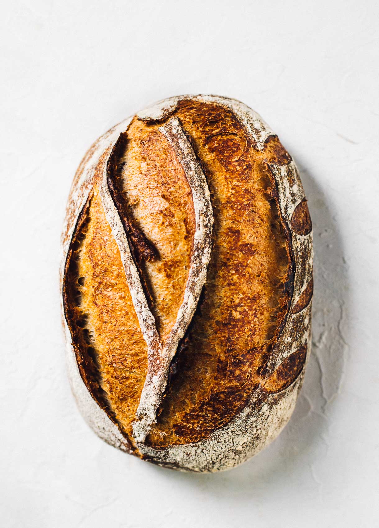 Artisan Sourdough Bread Process from Start to Finish