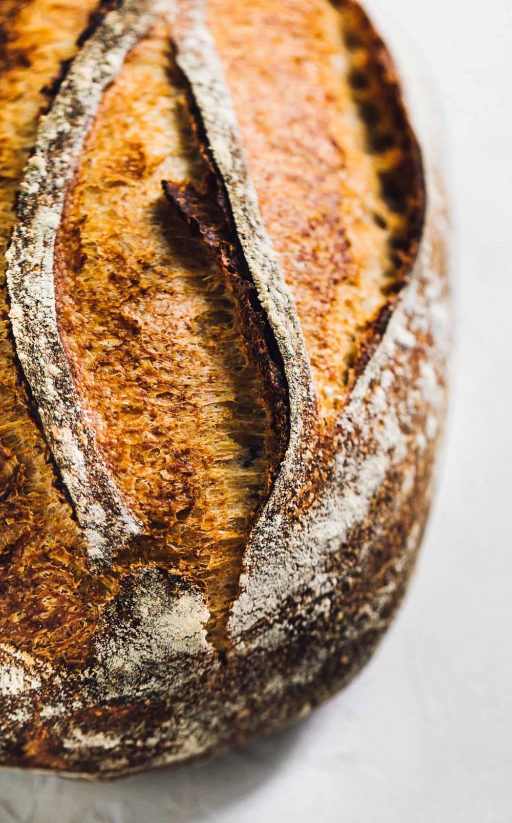 close up photo of Rustic Rye Sourdough Bread