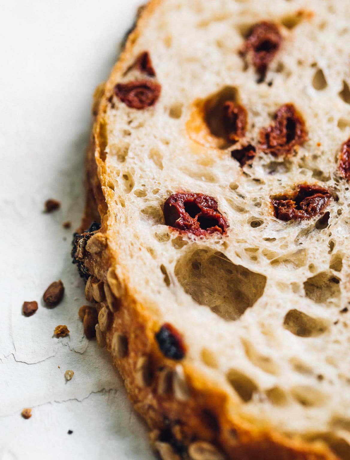 Seed Crusted Sourdough Bread with Dried Cherries