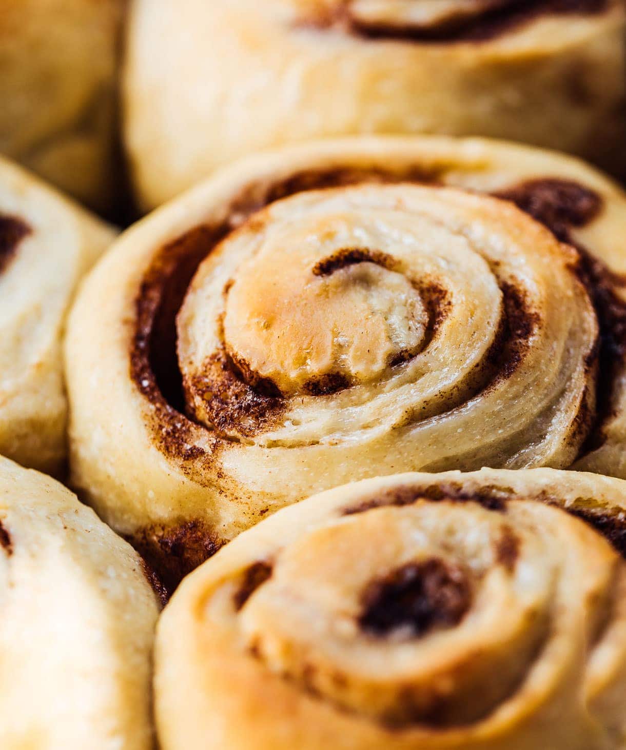 Soft Overnight Sourdough Cinnamon Rolls Heartbeet Kitchen