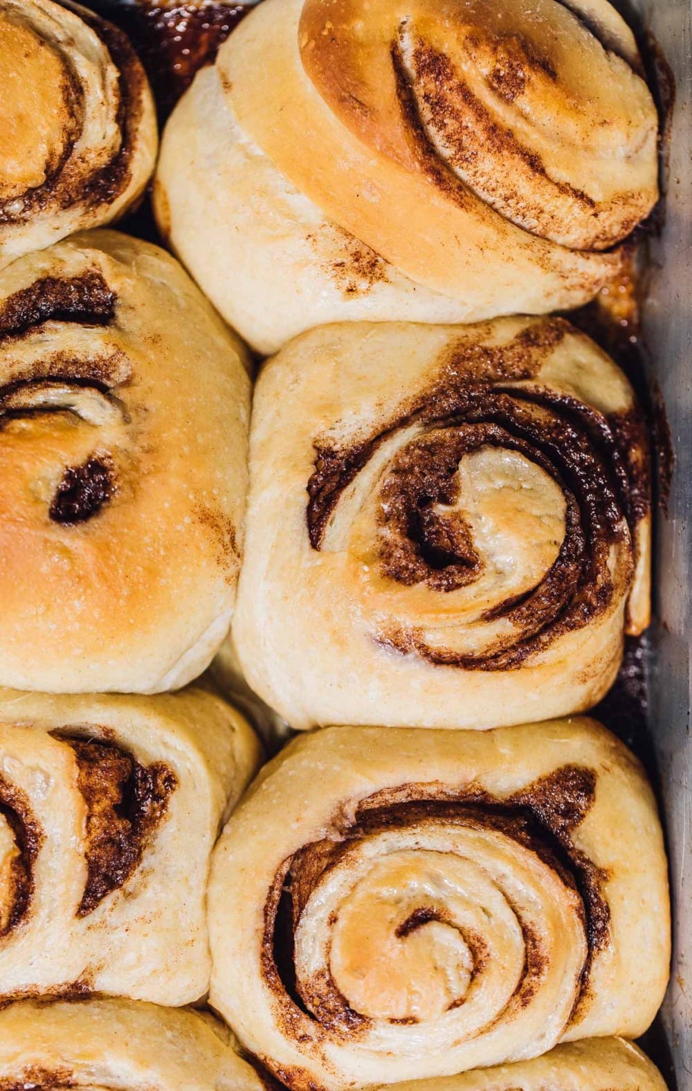 baked and unfrosted cinnamon rolls