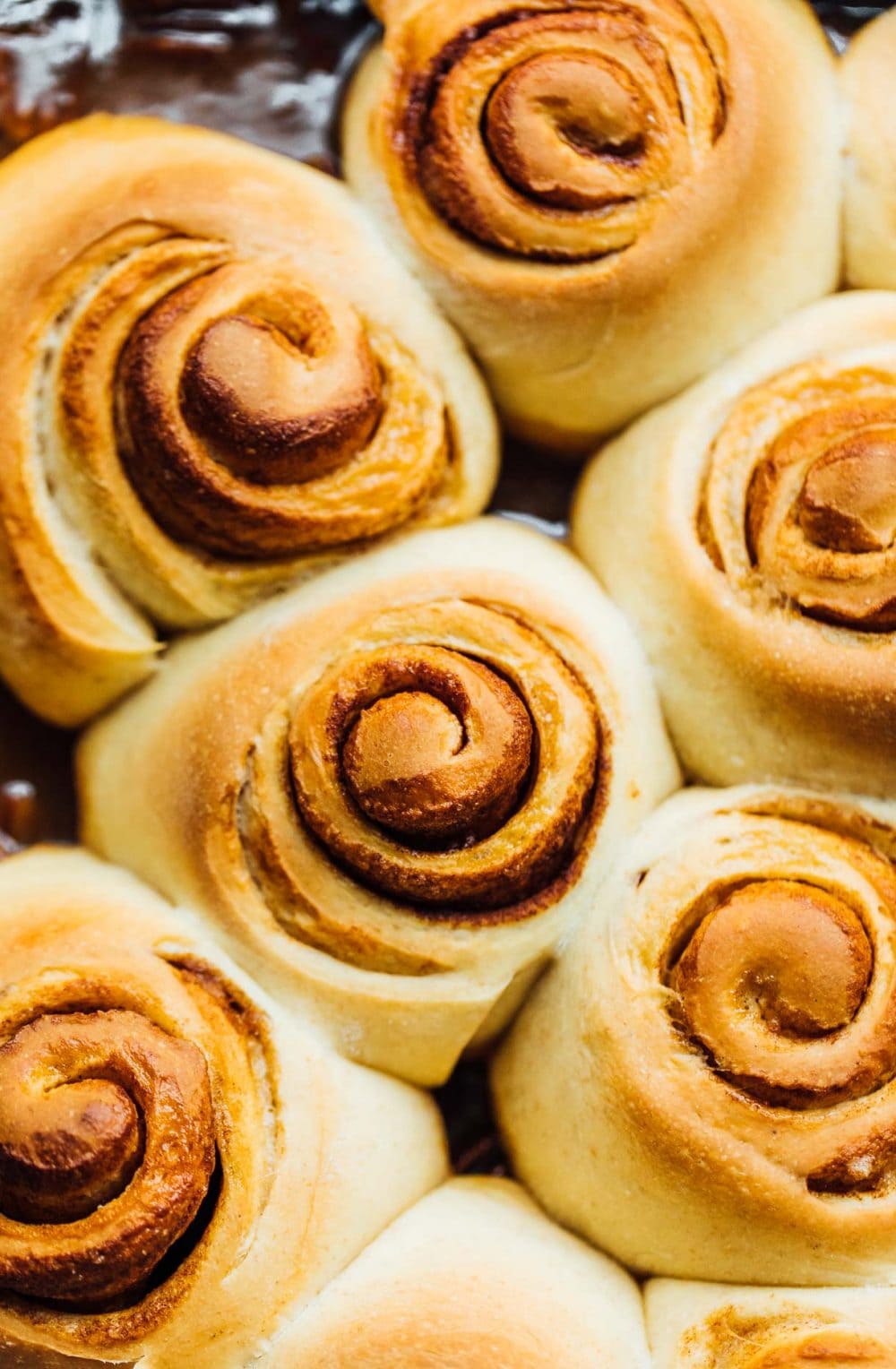 sourdough cinnamon buns that have been baked, but are unfrosted.