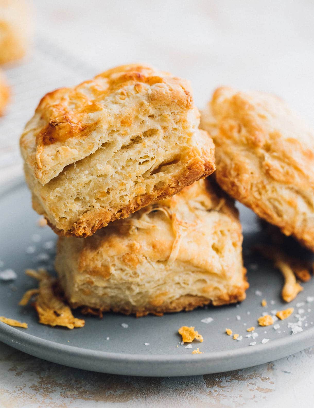 https://heartbeetkitchen.com/foodblog/wp-content/uploads/2021/02/sourdough-discard-biscuits-3.jpg