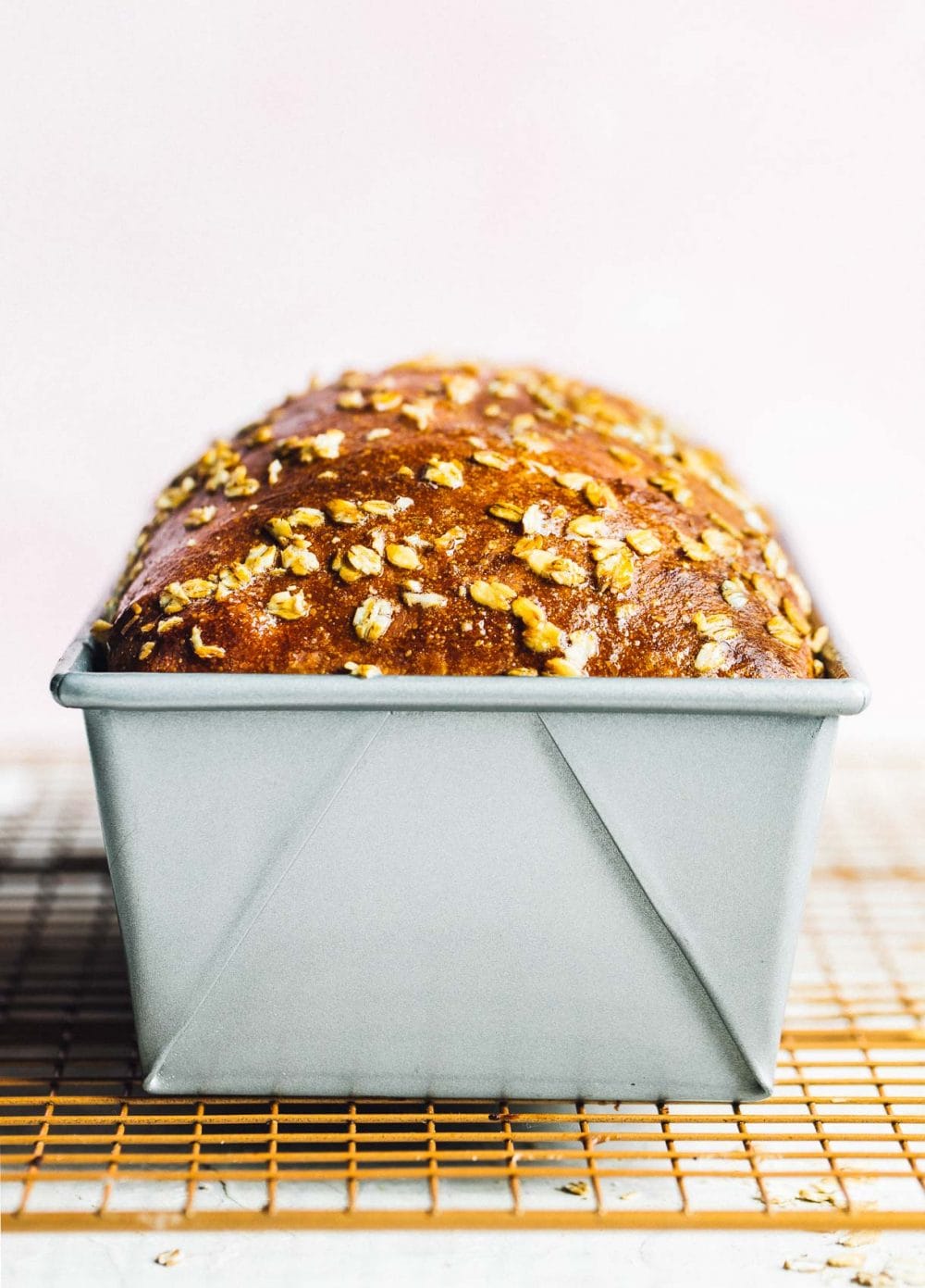 Whole Wheat sourdough sandwich bread in a loaf tin, baked.