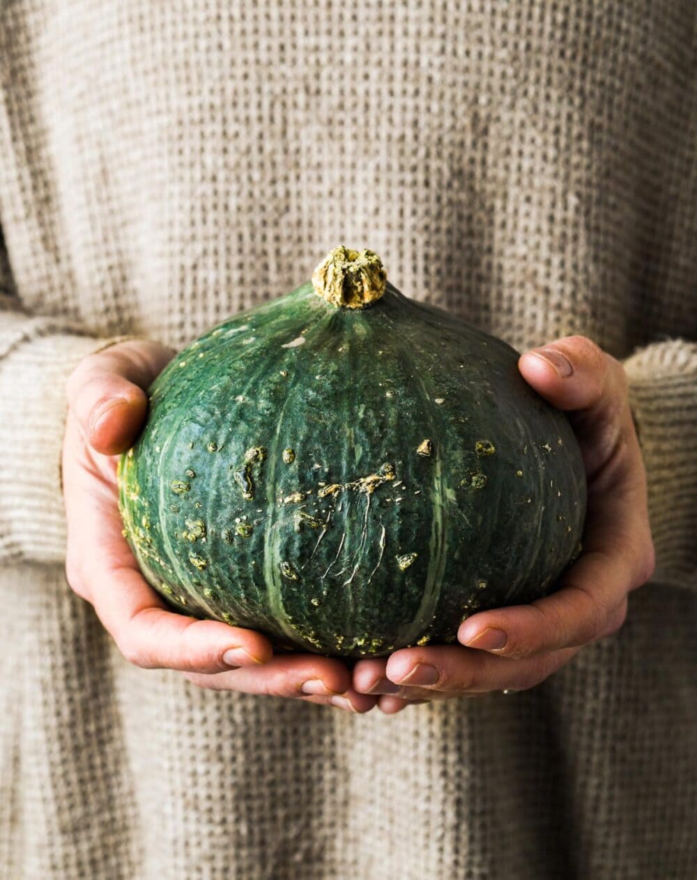 hands holding a kabocha squash