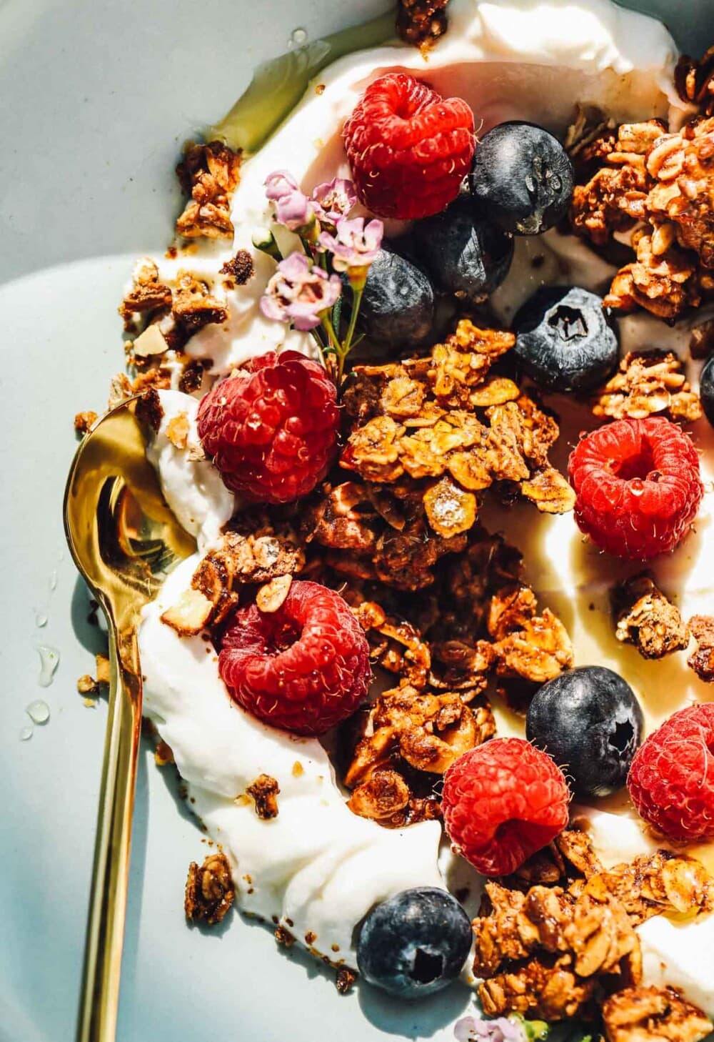 yogurt in a bowl with granola, rapsberries, blueberries, with a gold spoon.