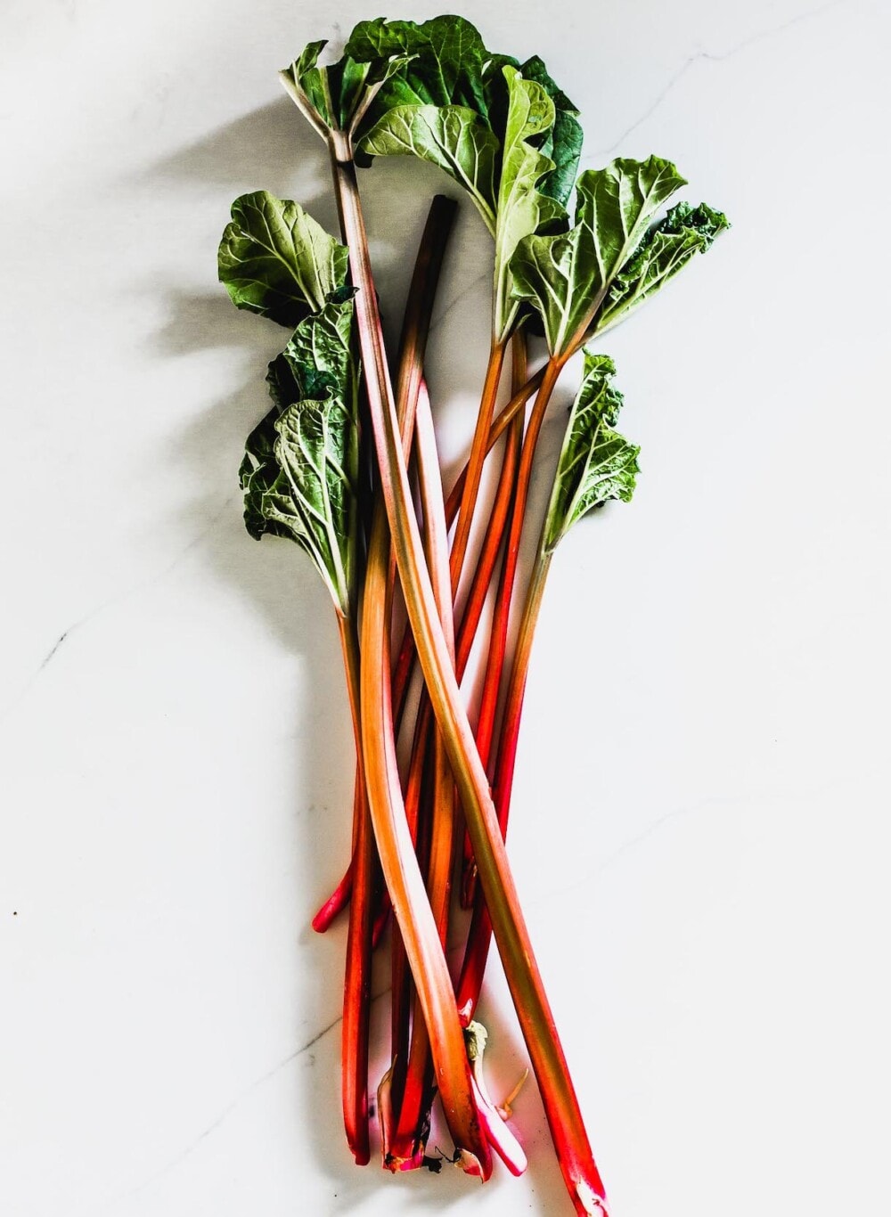 rhubarb stalks with green leaves attached