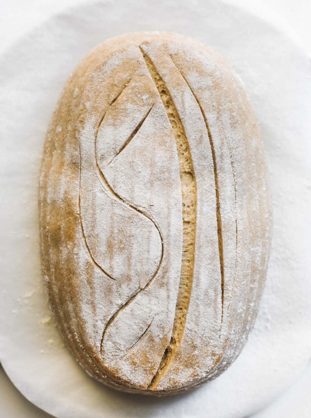 sourdough before being baked