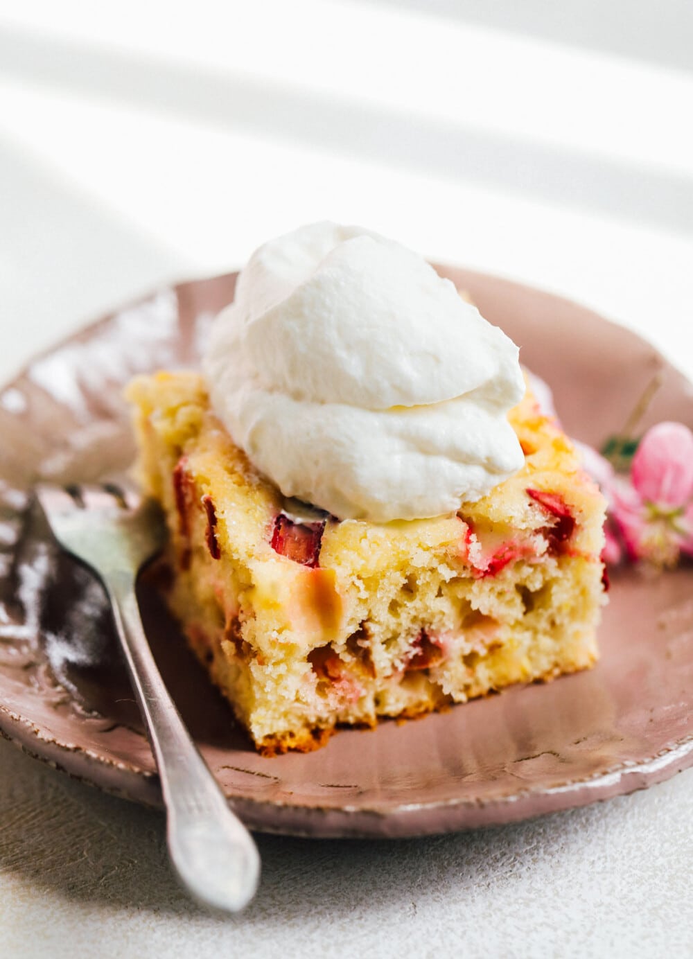 sourdough discard cake with whipped cream on a pink plate