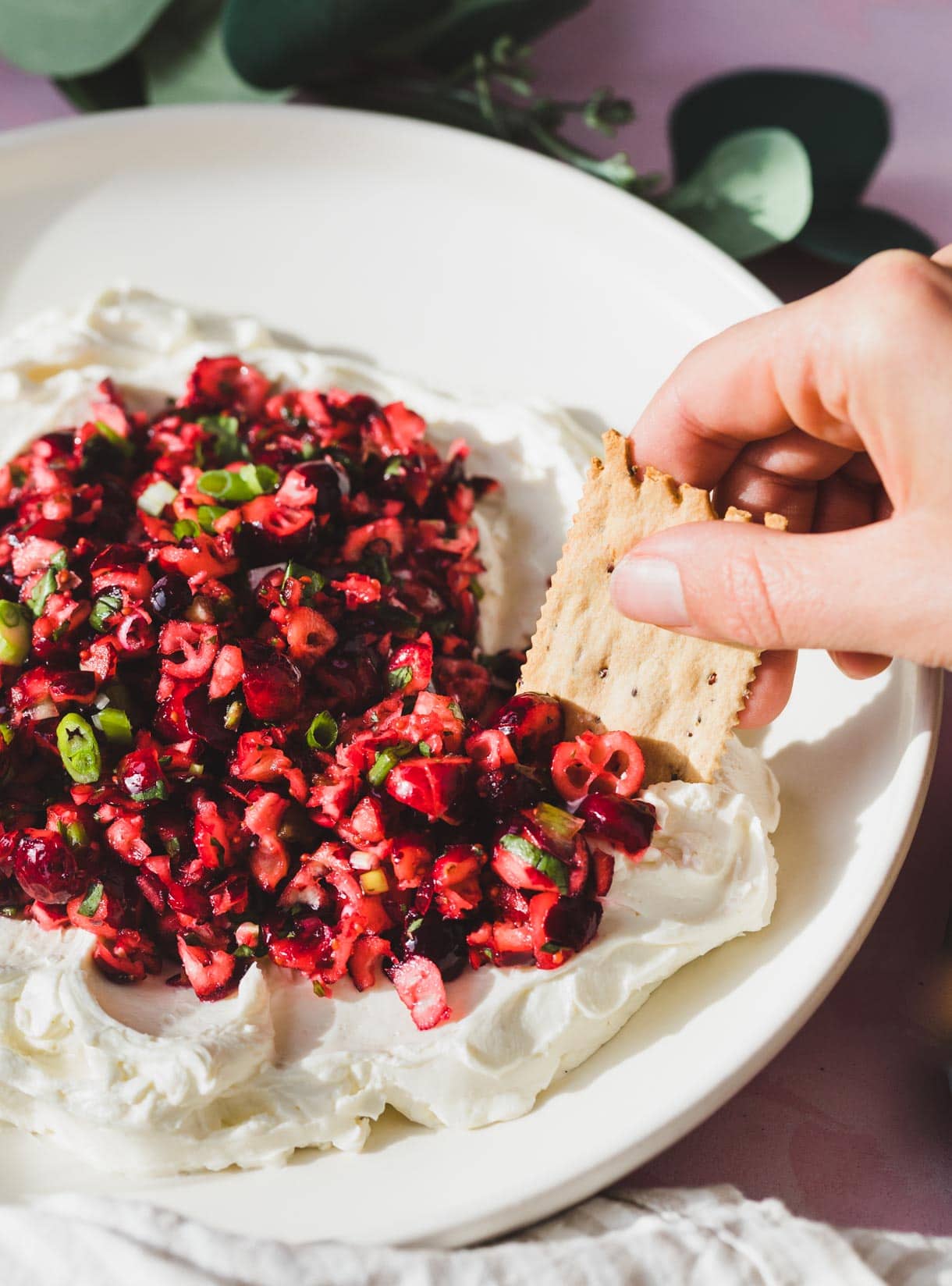woman taking a scoop of cranberry cream cheese dip with a cracker