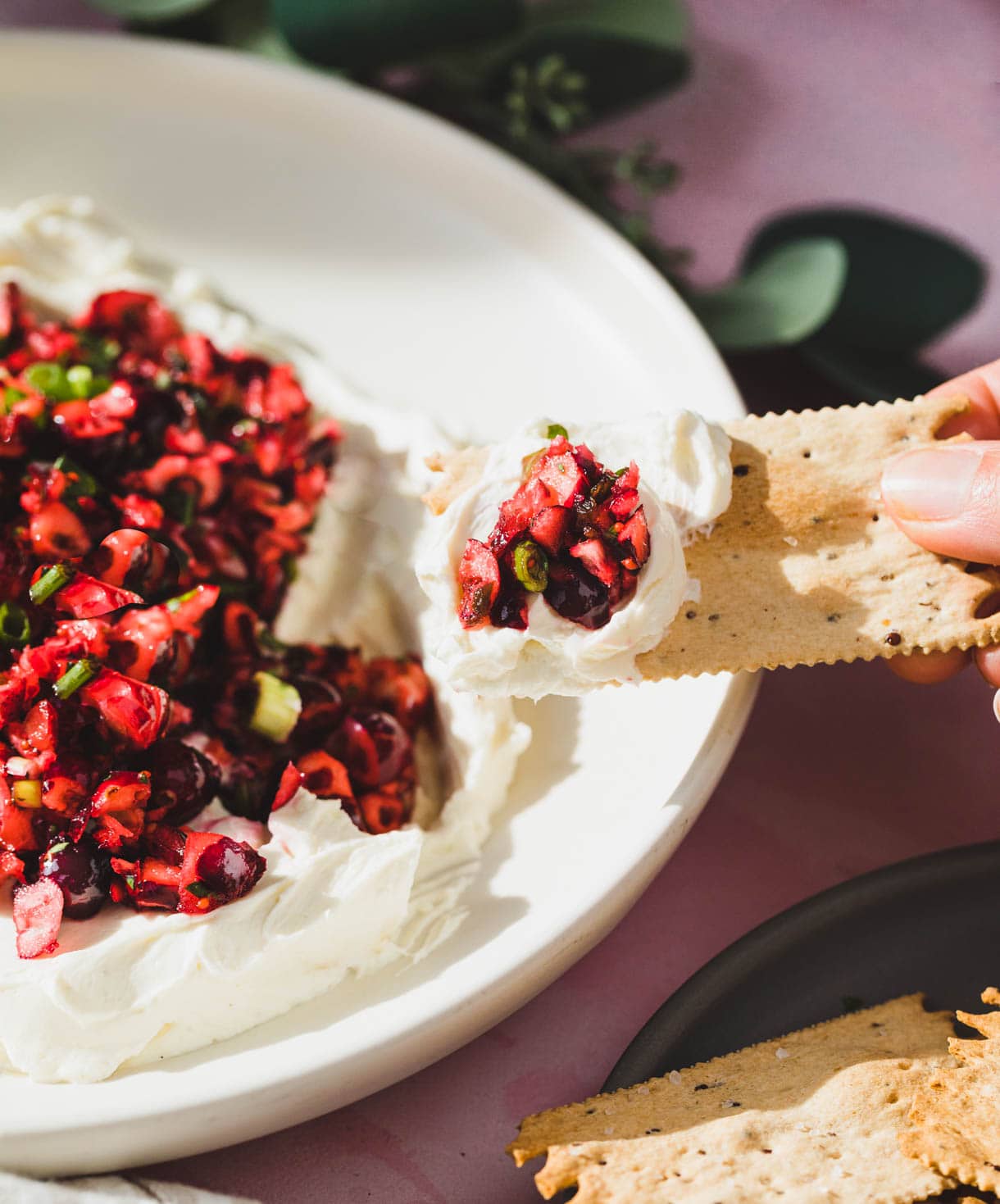 Fresh Cranberry Jalapeno Cream Cheese Dip • Heartbeet Kitchen