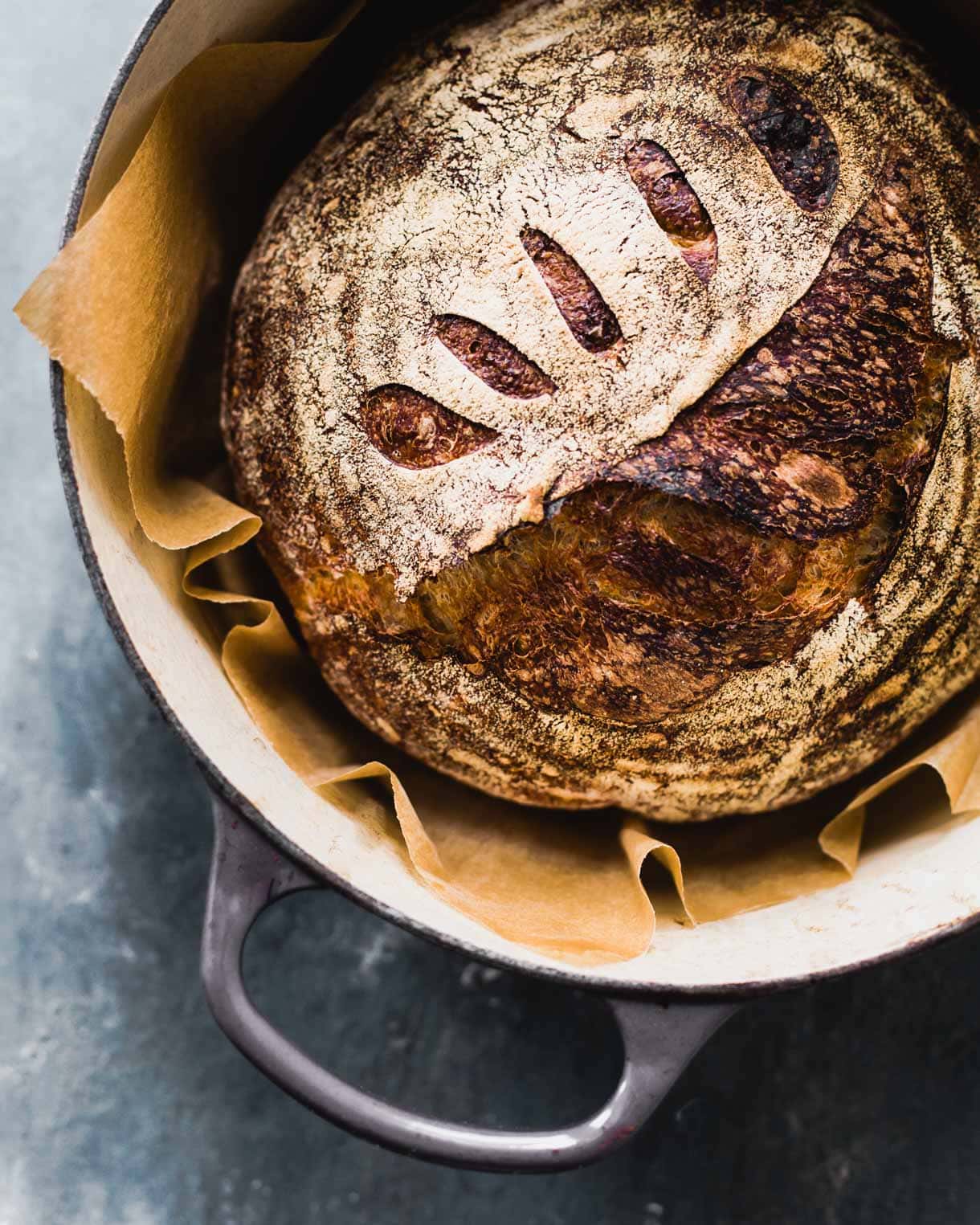 whole wheat sourdough bread in a dutch oven