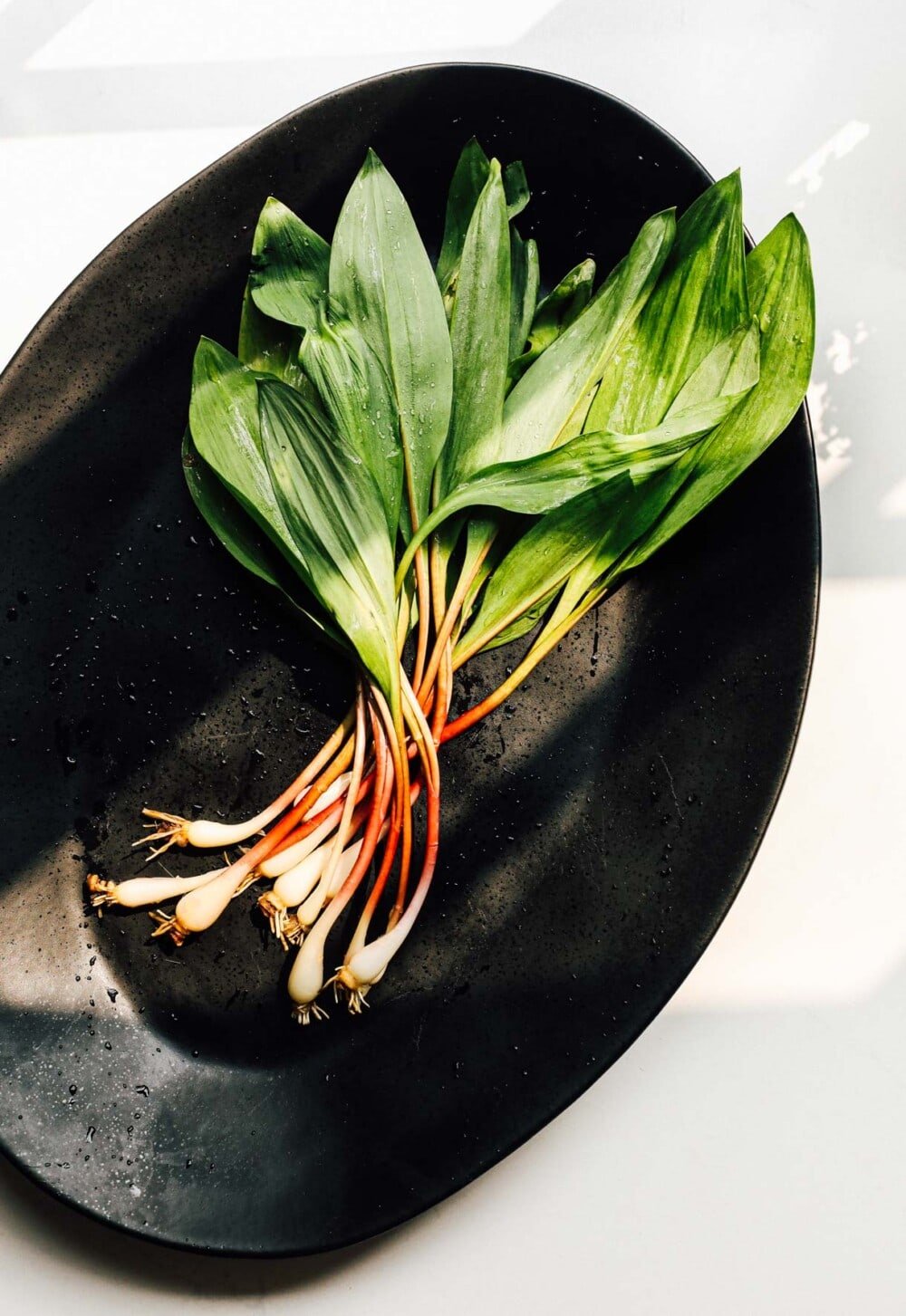 whole wild ramps on a black plate