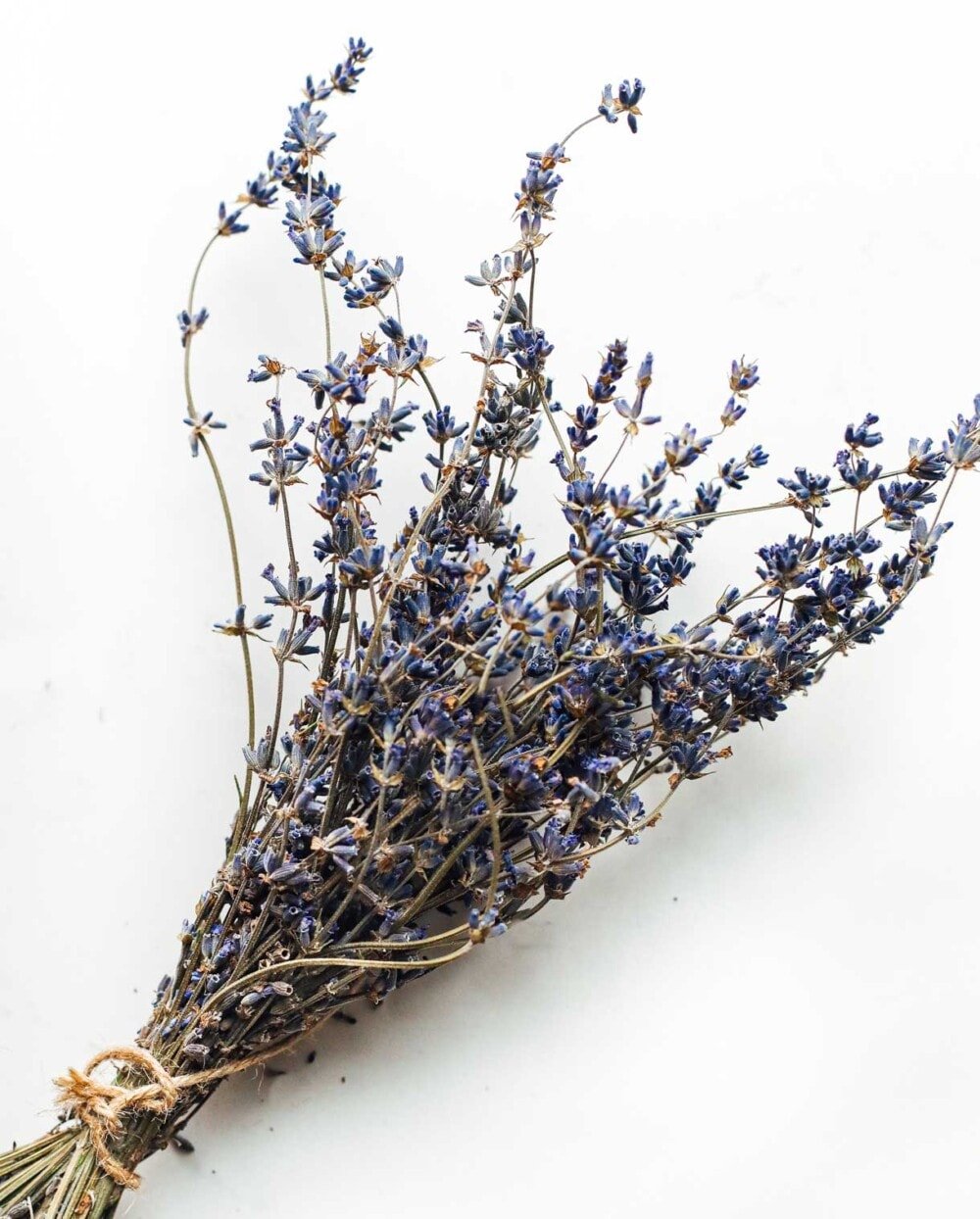 a bundle of dried lavender tied with twine