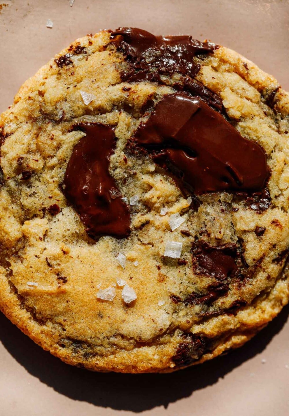 close up of sourdough chocolate chip cookie