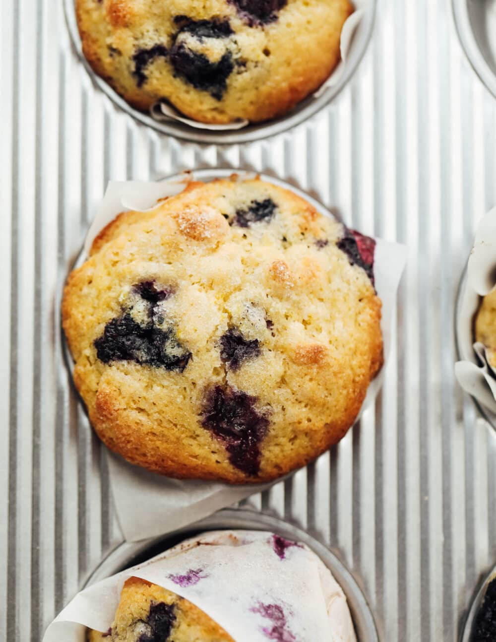 sourdough blueberry muffins in muffin tin