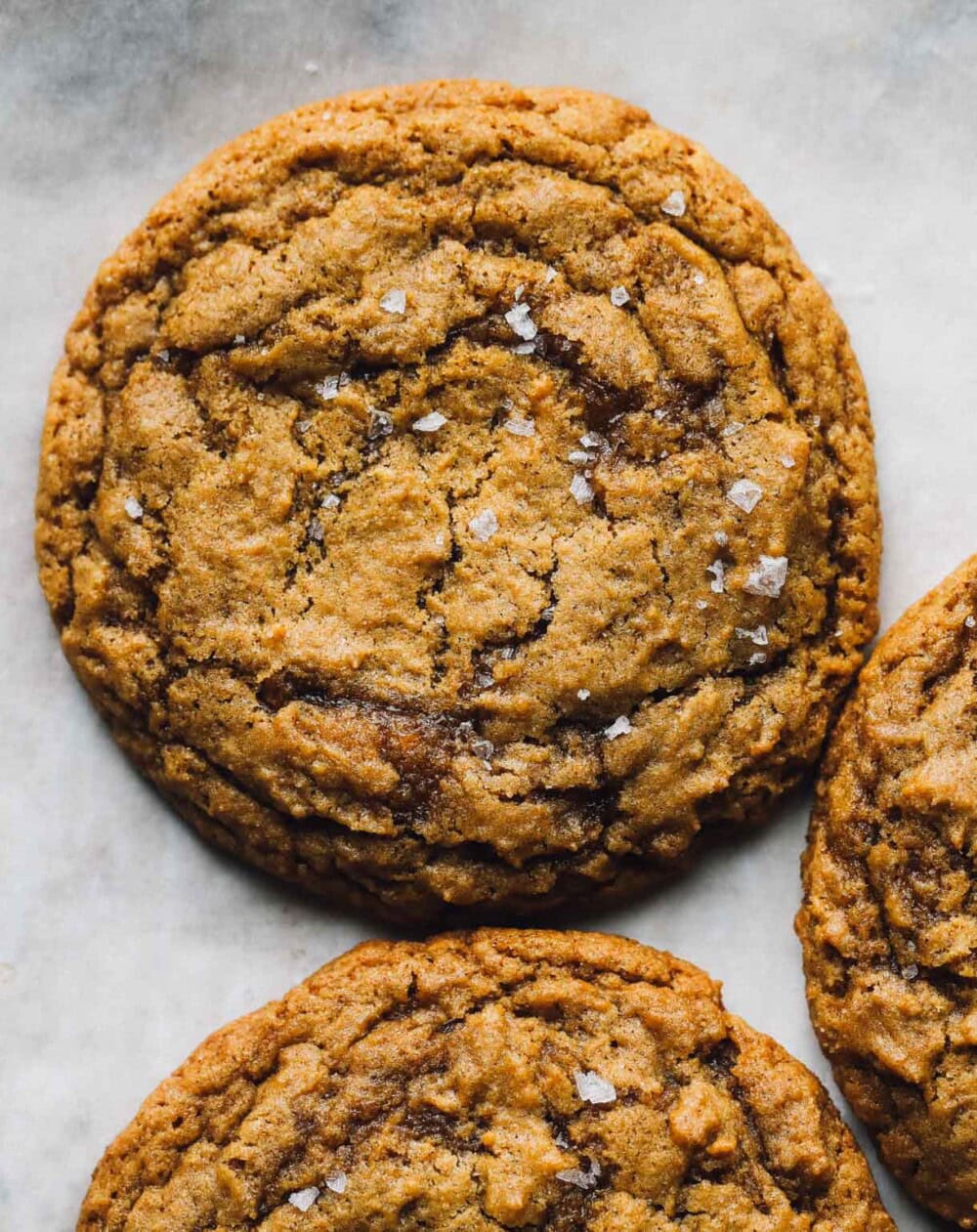 ginger molasses sourdough cookies on parchment paper